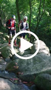 BIB:  <button type="button" onclick="openModal(28052538)" class="btn btn-primary btn-sm float-right" data-toggle="modal" data-target=".modal-high-quality">
                <i class="fa fa-download"></i> Download
                </button>